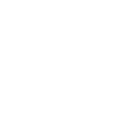 Amusement Parks